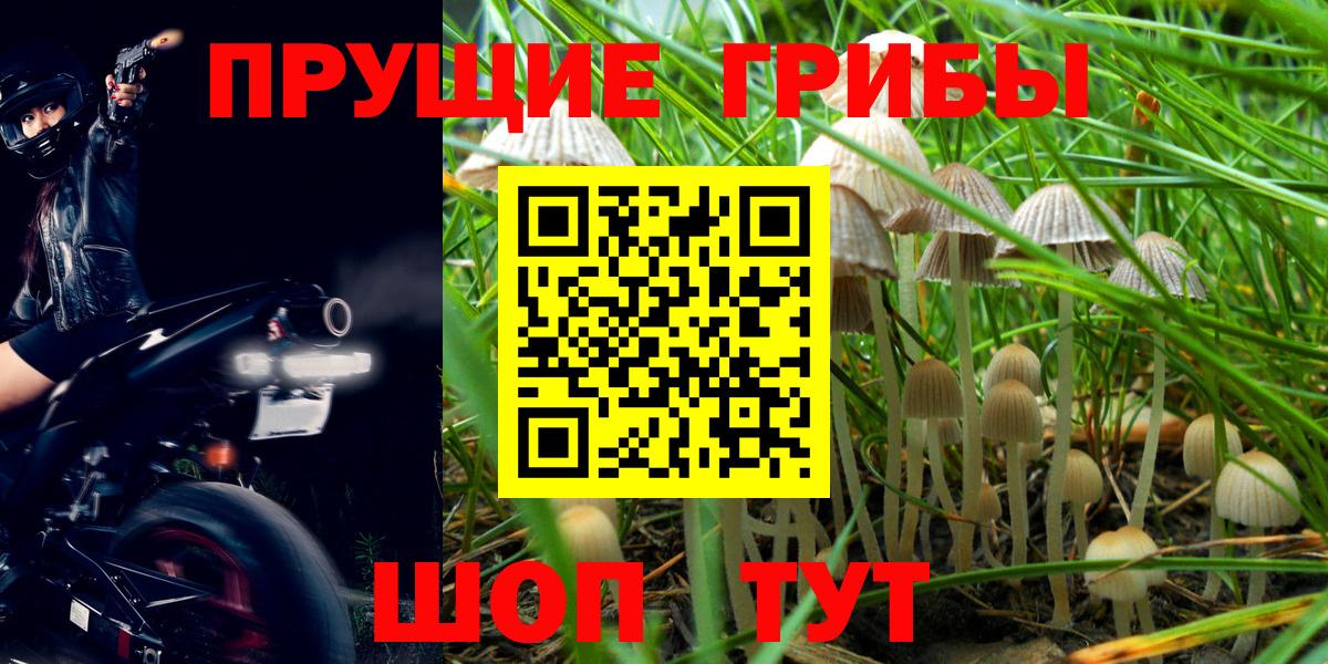 Галлюциногенные грибы мицелий  Галлюциногенные грибы MAGIC MUSHROOMS  Усолье-Сибирское  Вход с VPN 